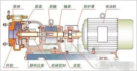 离心泵